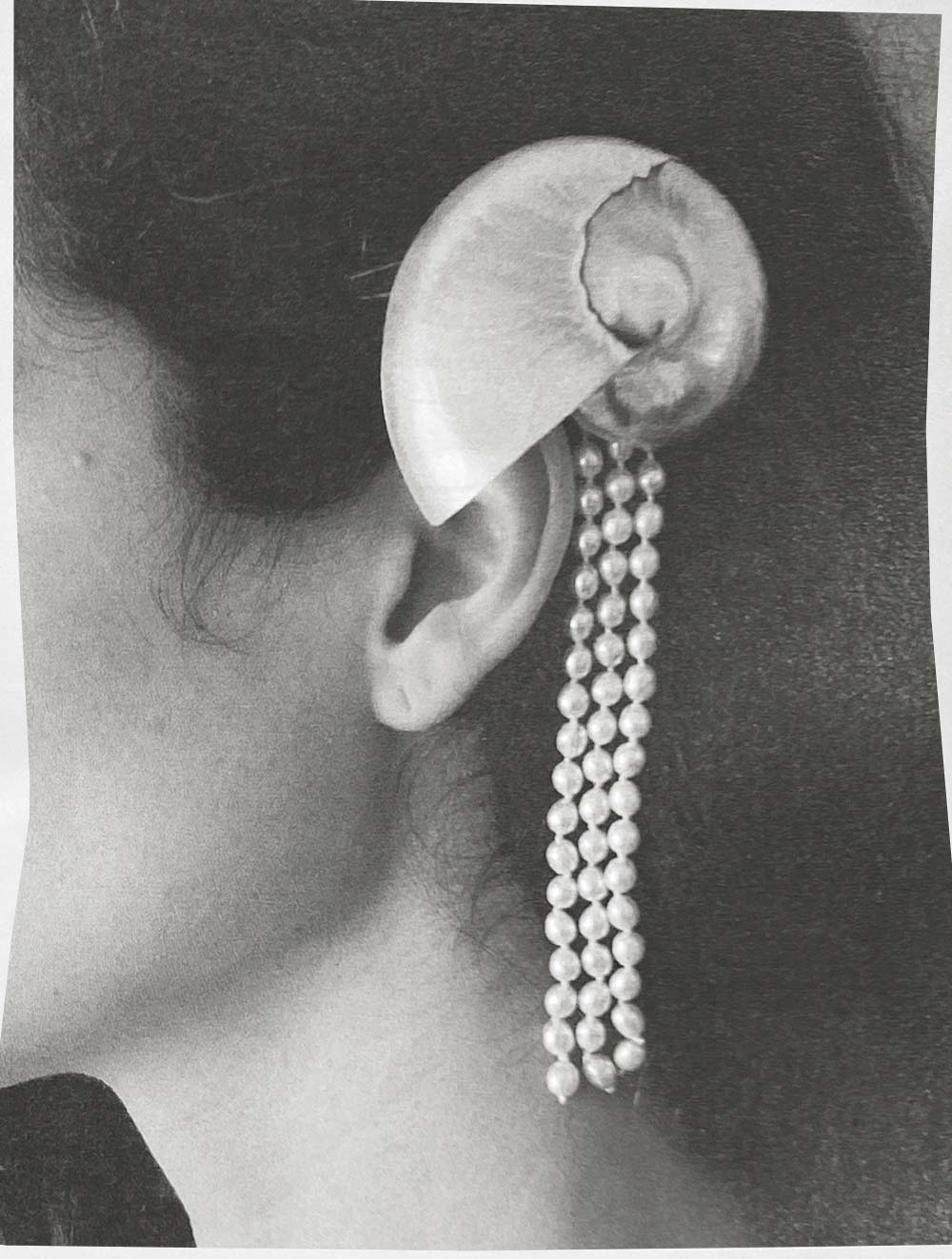The nautilus hair clip image 1