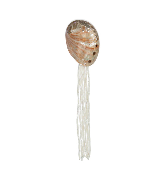 ABALONE